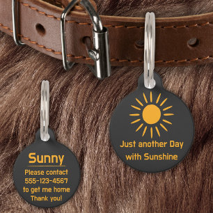 Médaillon Pour Animaux Just another day with Sunshine