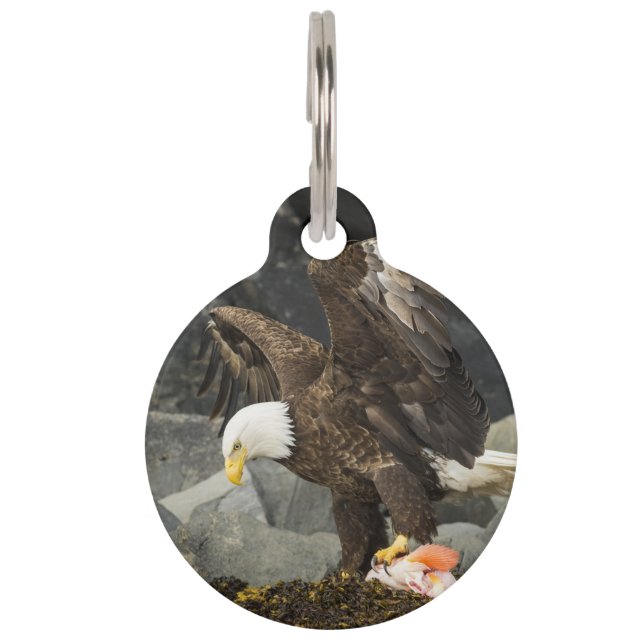 Médaillon Pour Animaux L'aigle chauve ultime (Devant)