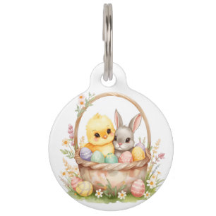 Médaillon Pour Animaux Lapin Pâques Poussin Aquarelle Pastel Printemps Ch