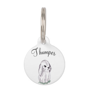 Médaillon Pour Animaux Lapin pour aquarelle mignon