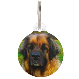 Médaillon Pour Animaux Leonberger Dog.