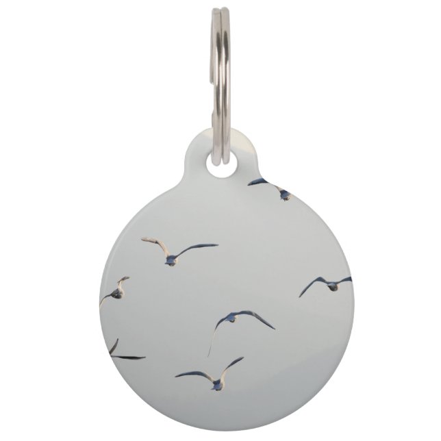 Médaillon Pour Animaux Les mouettes volent (Devant)