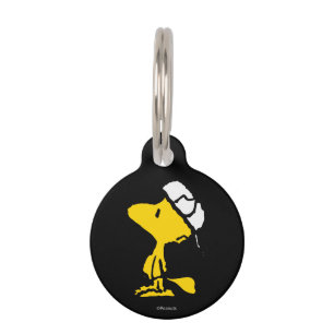 Médaillon Pour Animaux Lettre sport Woodstock Varsity Motif