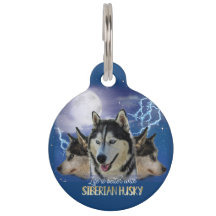 Life Is Better With A Siberian Husky