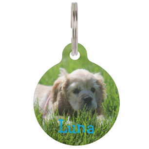 Médaillon Pour Animaux Lune