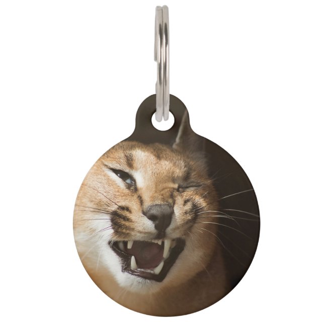 Médaillon Pour Animaux Lynx Loufoque (Devant)