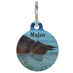 Médaillon Pour Animaux Major Le Berger Allemand, Plaque d'identification.