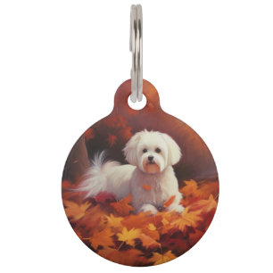 Médaillon Pour Animaux Maltais dans les feuilles d'automne tombent inspir