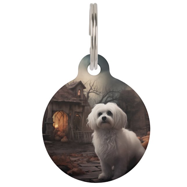 Médaillon Pour Animaux Maltais Halloween effrayant (Devant)
