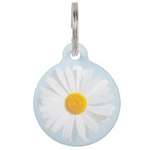 marguerite blanche