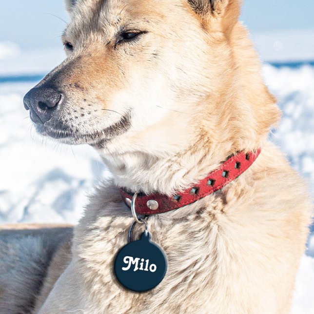 Médaillon Pour Animaux Marine Blue Retro (Créateur téléchargé)