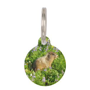 Médaillon Pour Animaux Marmot dans le Mont Rainier Fleurs sauvages
