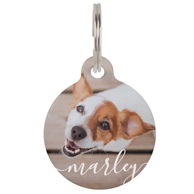 Médaillon Pour Animaux Moderne Simple Jouer Élégant Chic Pet Photo (Devant)