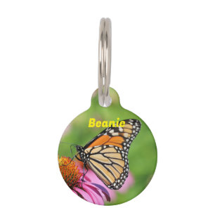 Médaillon Pour Animaux Monarque