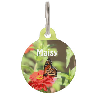 Médaillon Pour Animaux Monarque d'octobre