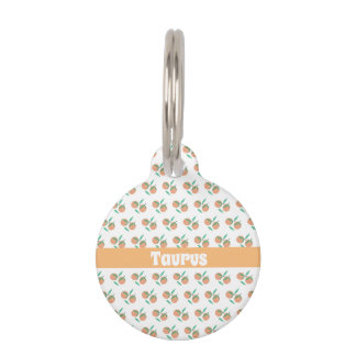 Médaillon Pour Animaux Motif Oranges Fruit