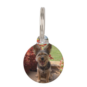 Médaillon Pour Animaux Nom de photo personnalisé Adresse # Téléphone