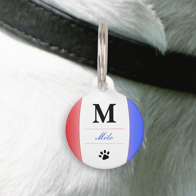 Médaillon Pour Animaux Nom Patriotique Rouge Blanc et Bleu Monogramme (Red White & Blue Patriotic Name Monogram Pet ID Tag)