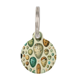 Médaillon Pour Animaux Œufs d'oiseaux vintage Art de l'œuf de poisson fra