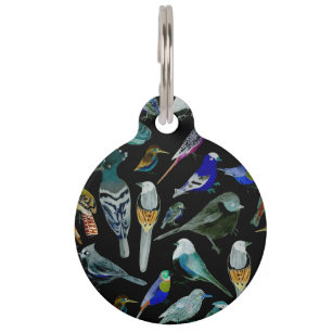 Médaillon Pour Animaux Oiseaux d'Amérique - animaux de compagnie et oise