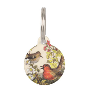 Médaillon Pour Animaux Oiseaux de printemps Robin Oiseaux rouges