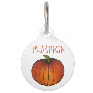 Médaillon Pour Animaux Orange Citrouille Patch Thanksgiving Halloween Aut