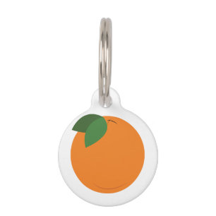 Médaillon Pour Animaux Orange rond