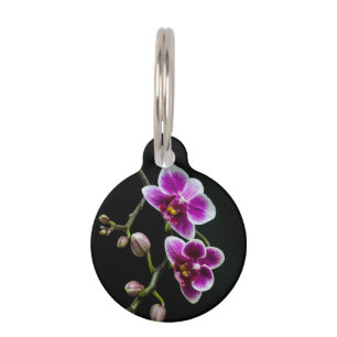 Médaillon Pour Animaux Orchidée rose blanc couleur sur noir pâle doux