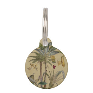 Médaillon Pour Animaux Palm Antique Fruit Tropical Art Botanique