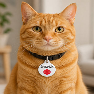 Médaillon Pour Animaux Pancréatite personnalisée Ne pas nourrir l'identif
