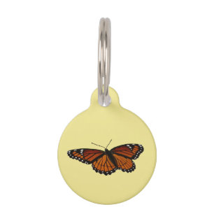 Médaillon Pour Animaux Papillon Viceroy Belle photographie de la nature