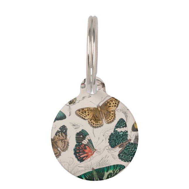Médaillon Pour Animaux Papillons Collection Antique Papillons (Devant)