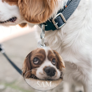 Médaillon Pour Animaux Personnalisé avec photo et texte personnalisés 