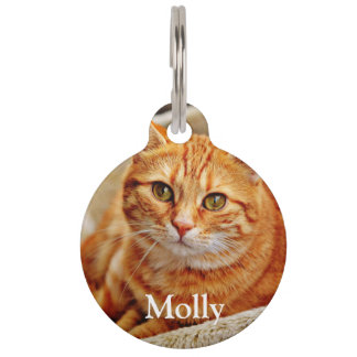Médaillon Pour Animaux Personnaliser ajoutez votre photo de chat préféré