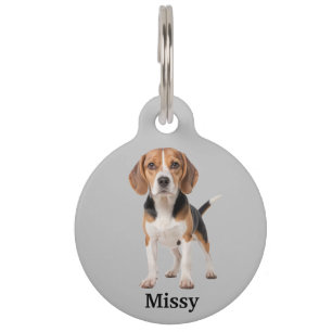 Médaillon Pour Animaux Personnaliser Beagle