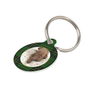 Médaillon Pour Animaux Personnaliser Chien Vert Forbes Tartan