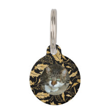 Personnaliser la feuille d'or faux sur chat noir