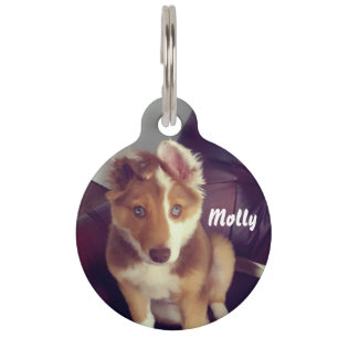 Médaillon Pour Animaux Personnalisez votre propre