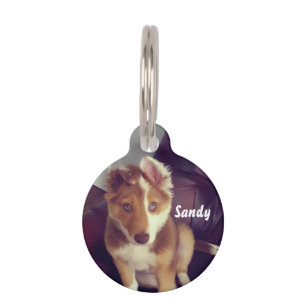 Médaillon Pour Animaux Personnalisez votre propre
