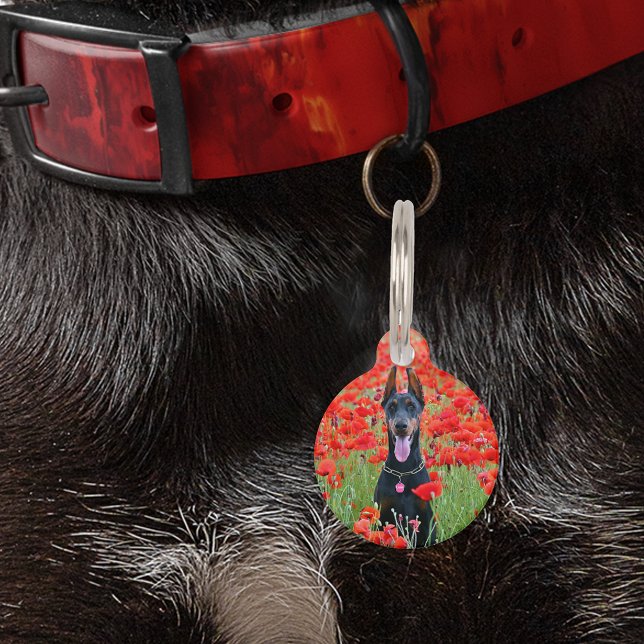 Médaillon Pour Animaux Pet Chien Chat ID Perdu Photo Texte Personnalisé (Créateur téléchargé)