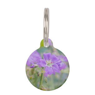 Médaillon Pour Animaux Photo botanique de géranium sauvage pourpre