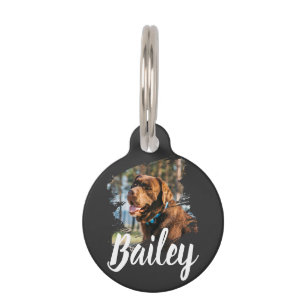 Médaillon Pour Animaux Photo de chien personnalisé avec nom