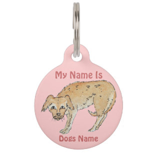 Médaillon Pour Animaux photo du chien de race mixte garni