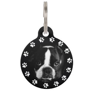 Médaillon Pour Animaux Photo et numéro d'identification du chien d'animal