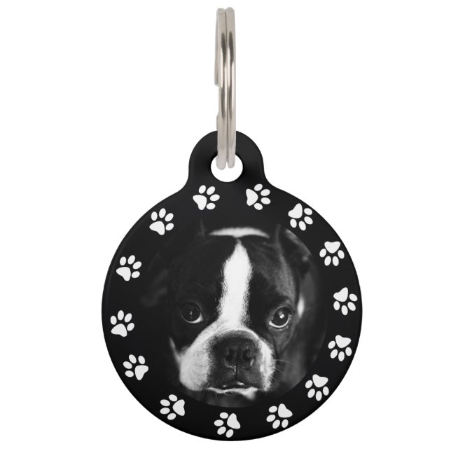 Médaillon Pour Animaux Photo et numéro d'identification du chien d'animal (Devant)