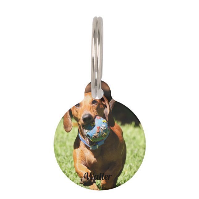 Médaillon Pour Animaux Photo et texte personnalisés (Devant)