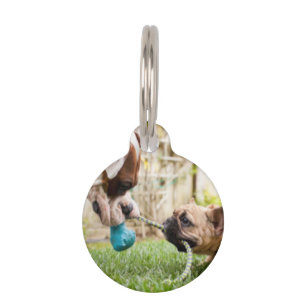 Médaillon Pour Animaux Photo personnalisée de votre animal