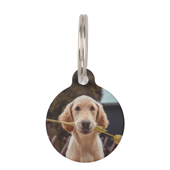Médaillon Pour Animaux Phto et texte personnalisés (Devant)