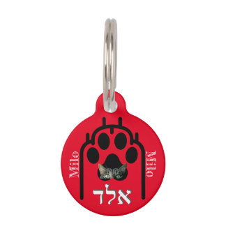 Médaillon Pour Animaux Placa para macotas Pequeña, ¨b'li ayin hara¨