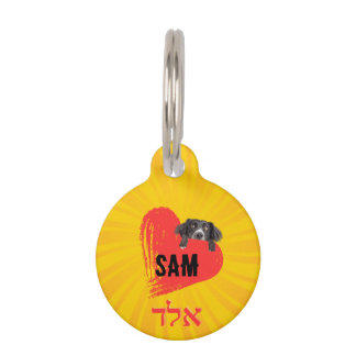 Médaillon Pour Animaux Placa para mascotas, Pequeña, ¨b'li ayin hara¨
